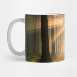 Dawn's Hushed Whisper Mug